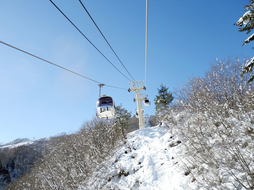 スノー スポーツとスキー