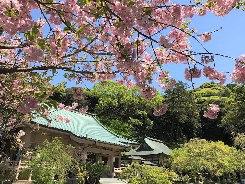 観光スポット