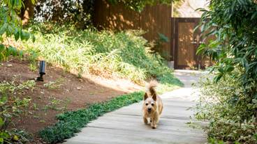 伊豆マリオットホテル修善寺(イズマリオットホテルシュゼンジ) / 1
