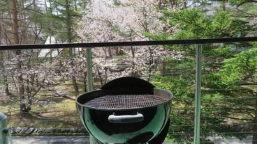 バーベキュー / ピクニック エリア / 14