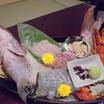 夕食　鯛や伊勢海老などの刺身
