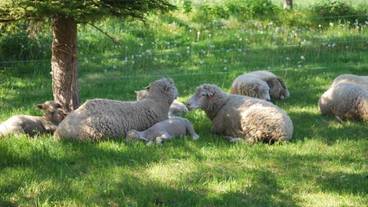 施設の敷地 / 18