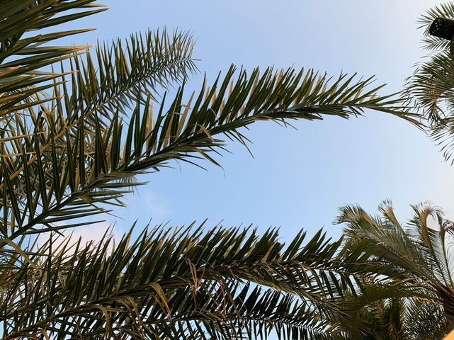 michi_1017さんの写真 / 2