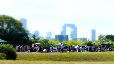 施設からの眺望 / 25