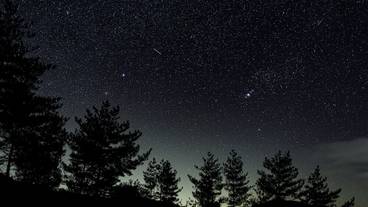 施設からの眺望 / 14