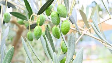 観光スポット / 4