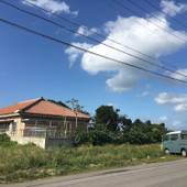 はりはりはうす（石垣島）（沖縄県 ペンション） / 4