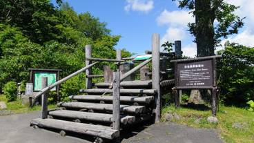 マウンテン ビュー / 16