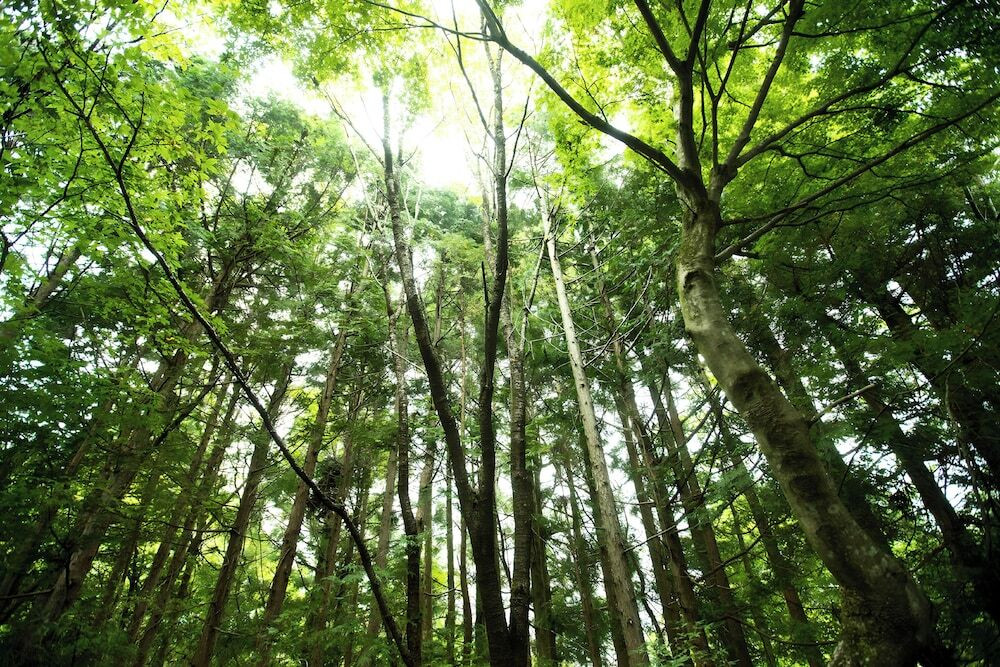 バルコニーからの眺望