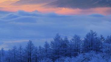 マウンテン ビュー / 20