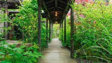 施設の敷地 / 12