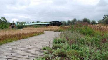 施設の敷地 / 13