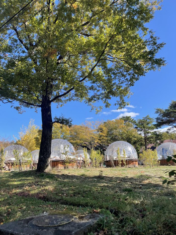 クリアなグランピングドームで星を眺めながら眠りにつく3995124