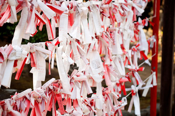 江島神社2304561