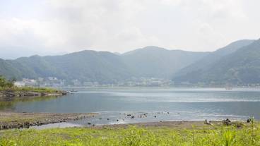 施設からの眺望 / 19