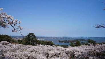 施設の敷地 / 31