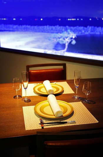 皆生 游月3404493