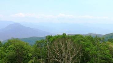 施設からの眺望 / 18