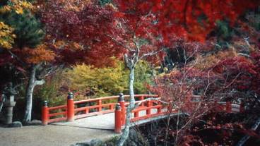 観光スポット / 8