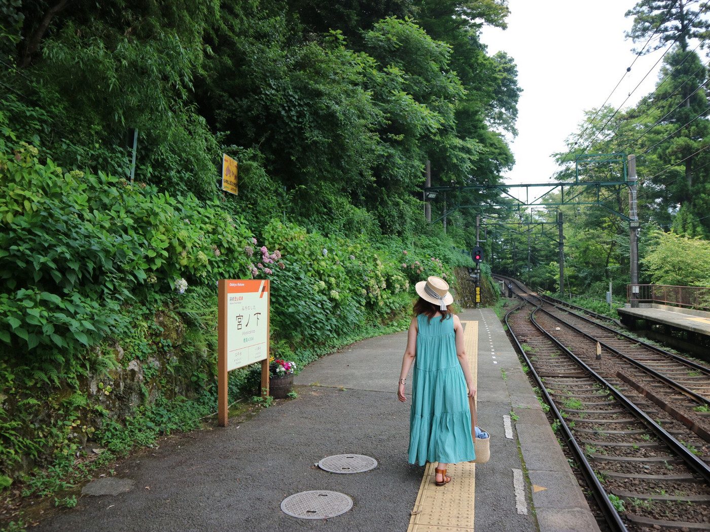 7月に箱根に旅行に行った時の1枚です。