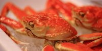 金沢の台所「近江町市場」を見て楽しい!食べて楽しい!