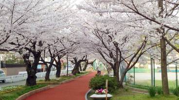 シティ ビュー / 36