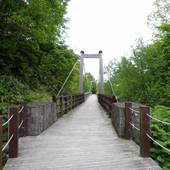 休暇村 岩手網張温泉（岩手県 旅館） / 3