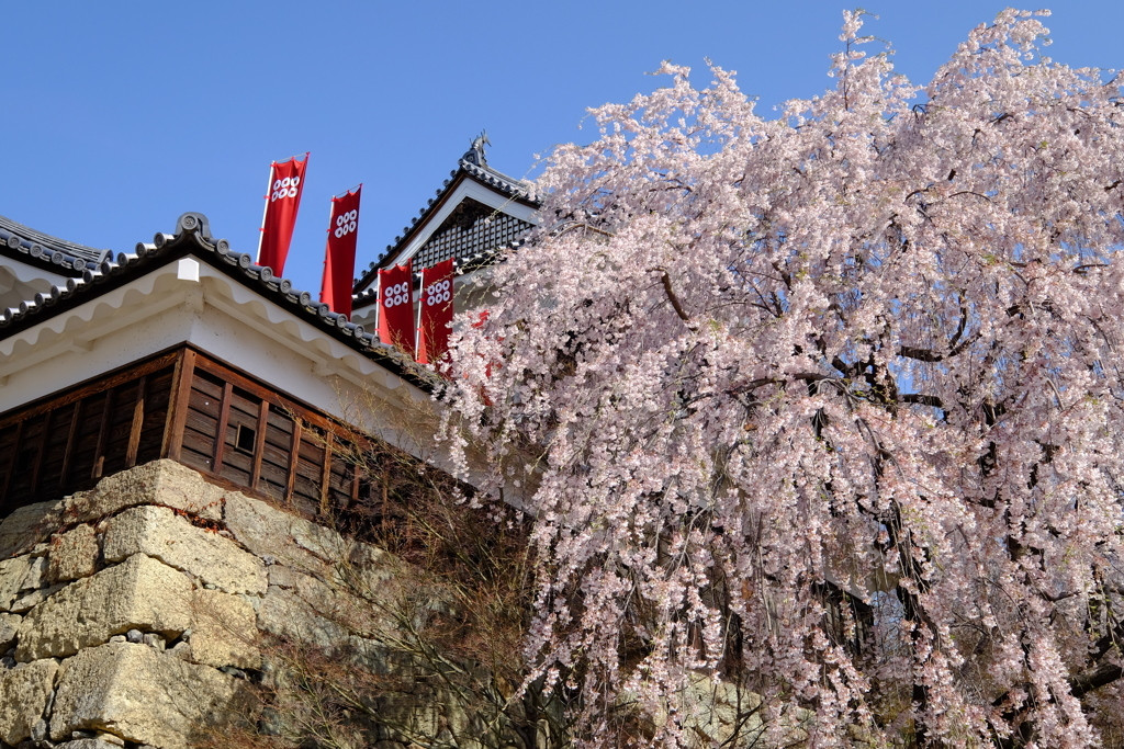 上田エリアで史跡めぐり4239321
