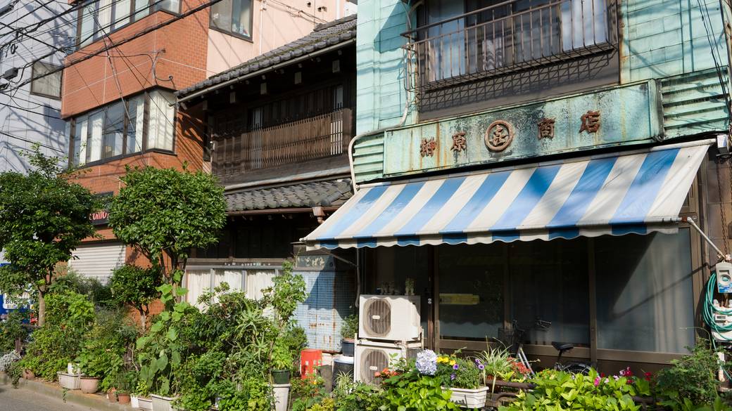 根津の町並み / 3