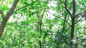 施設からの眺望 / 11