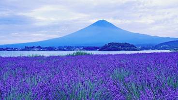 観光スポット / 5