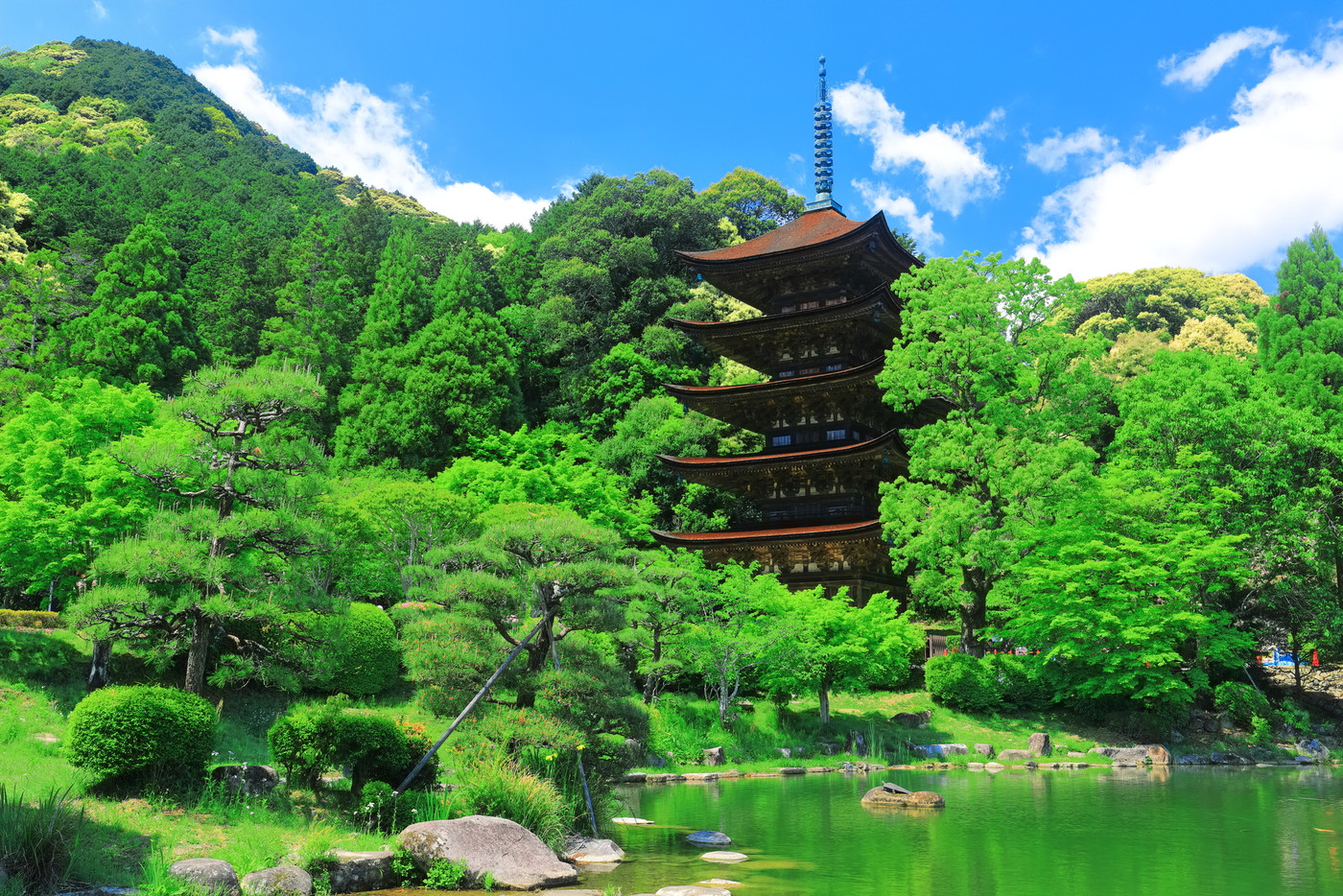 一人旅におすすめの名所がたくさん♪3914319