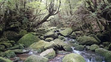 施設の敷地 / 13