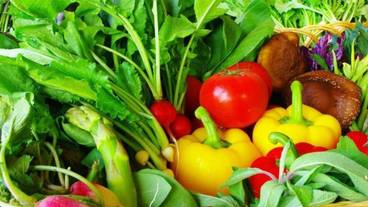 施設の敷地 / 24