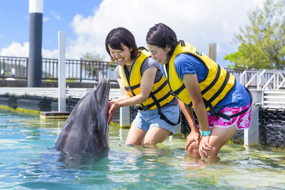 子供向けアクティビティ