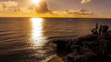 ビーチ / オーシャン ビュー / 28