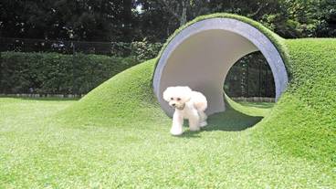 ペット用設備・サービス / 5