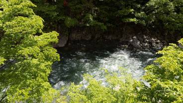 客室からの眺望一例 / 10