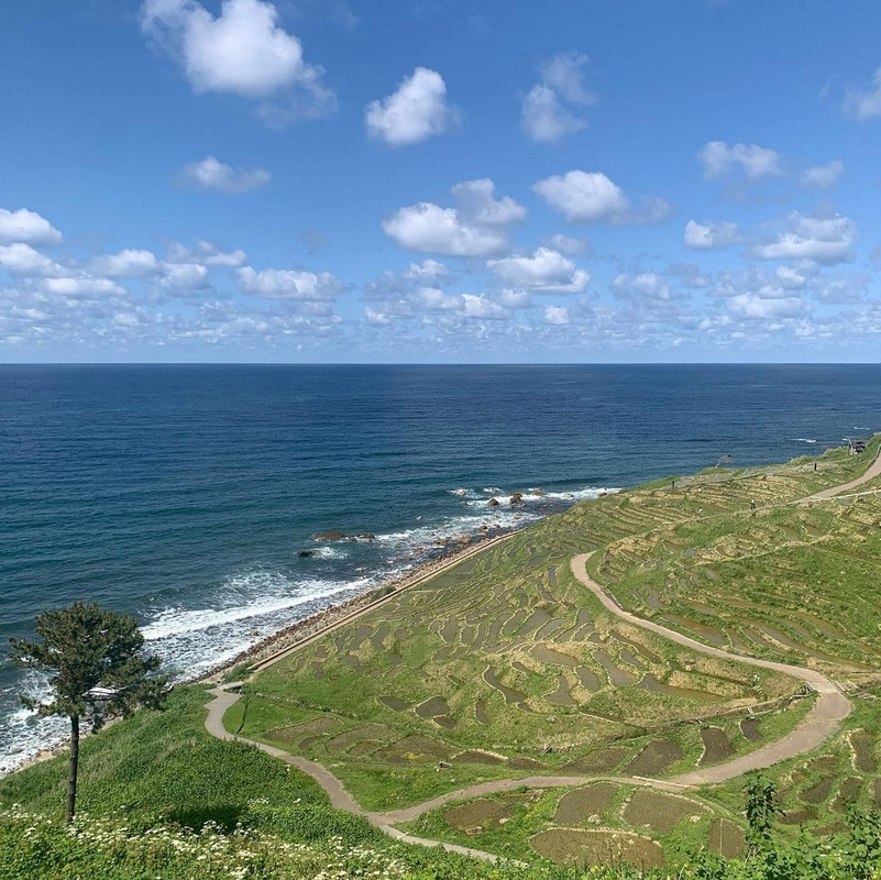 maho_latinaさんの写真 / 7