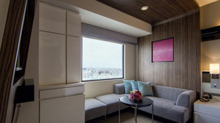 エグゼクティブダブル(リラックスタイプ) 禁煙 エアウィーヴ仕様(スカイビュー)