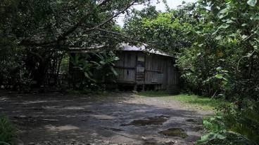 観光スポット / 5