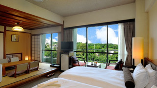 和洋室 ランドスケープビュー 上層階