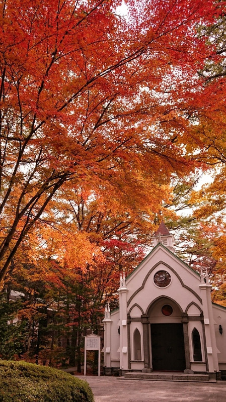 敷地内の美しい紅葉