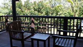 メインコテージ 禁煙