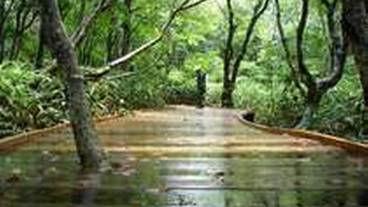 施設の敷地 / 22