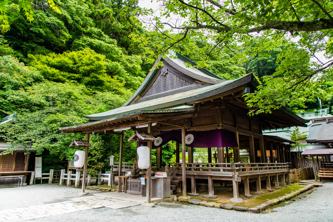 こちらで観光♪「鎌倉宮」3907471