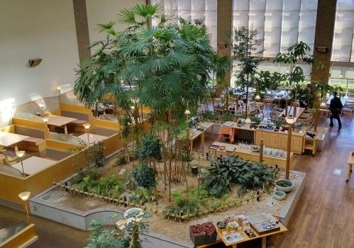 食事会場を二階からみてみました