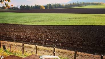 テラス / パティオ / 14