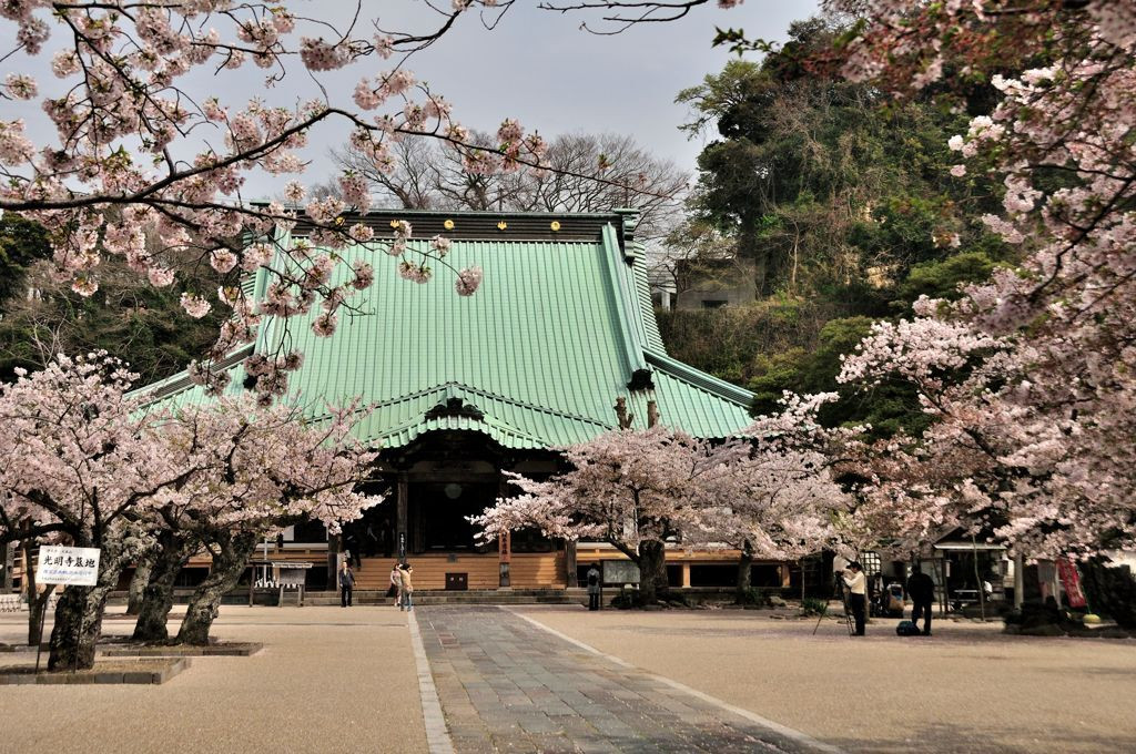 光明寺2494277