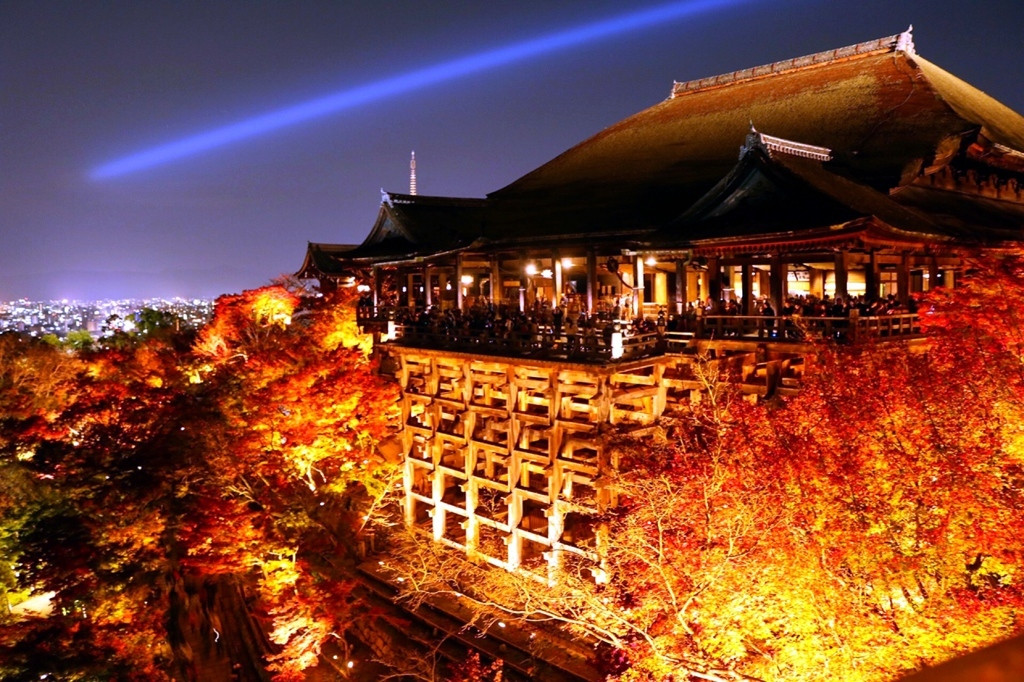 【祇園・東山エリア】ライトアップされた紅葉にムードが高まる3639294